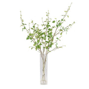Uttermost Nigra River Birch Centerpiece