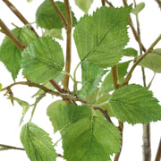 Uttermost Nigra River Birch Centerpiece