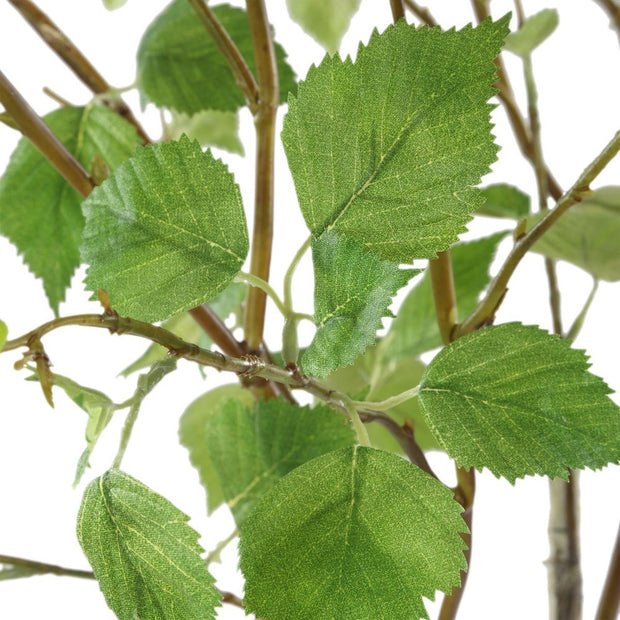 Uttermost Nigra River Birch Centerpiece