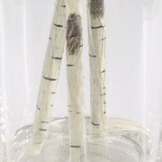 Uttermost Nigra River Birch Centerpiece