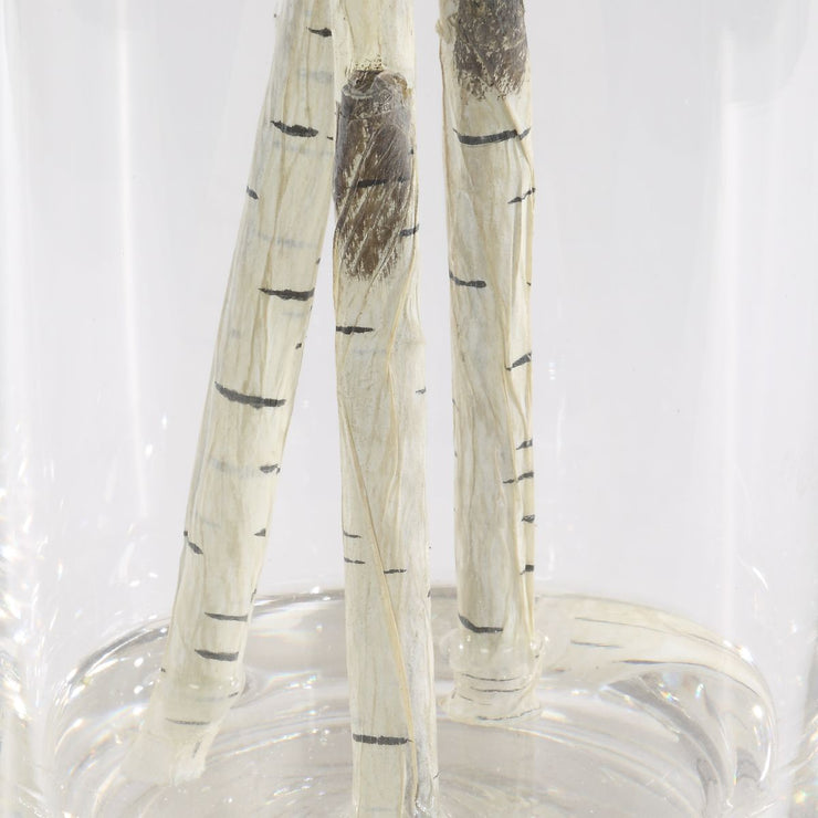 Uttermost Nigra River Birch Centerpiece