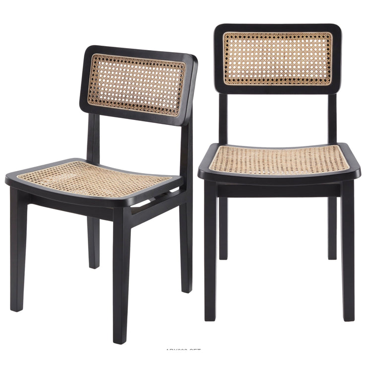 Surya Arxan Modern Rattan Wheat Back Set of 2 Black Wood Dining Chairs