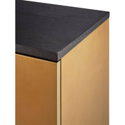 Surya Peaceful Modern Gold and Black Cabinet