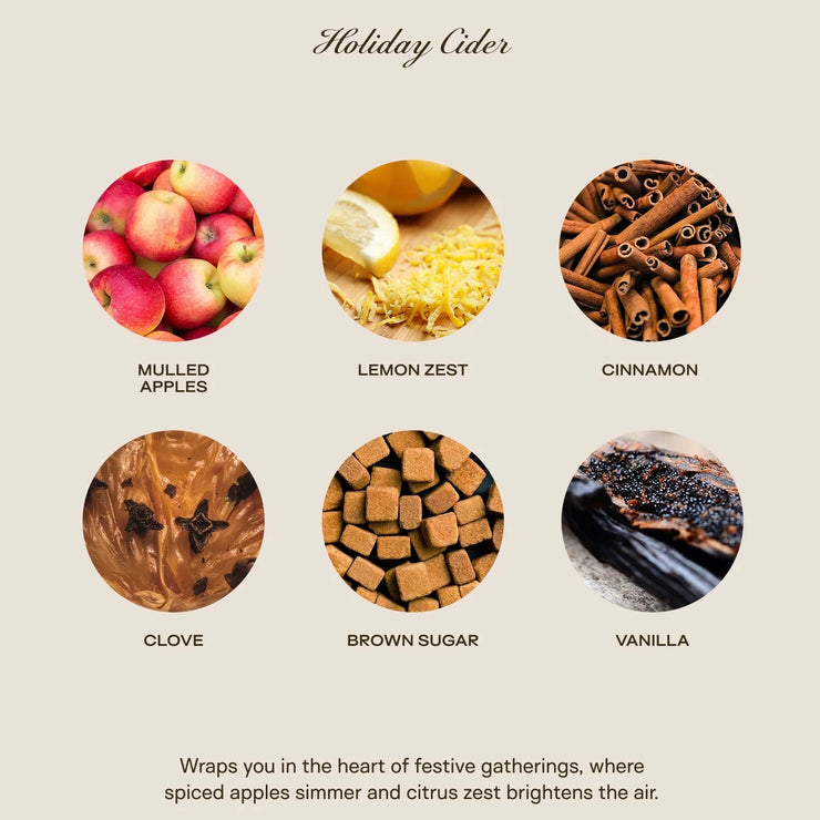 Big Ass Luxuries Holiday Cider Baby Big Ass Candle ~ 150 oz.