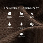 Four Hands Bridges Ottoman ~ Brussels Natural Belgian Linen Upholstered Fabric