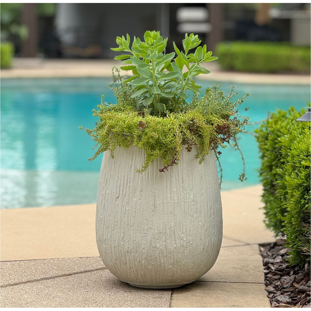 Uttermost Rustic Ridge Planter ~ Indoor and Outdoor Use