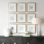 Uttermost Natures Script Framed Set of 9 Botanical Prints