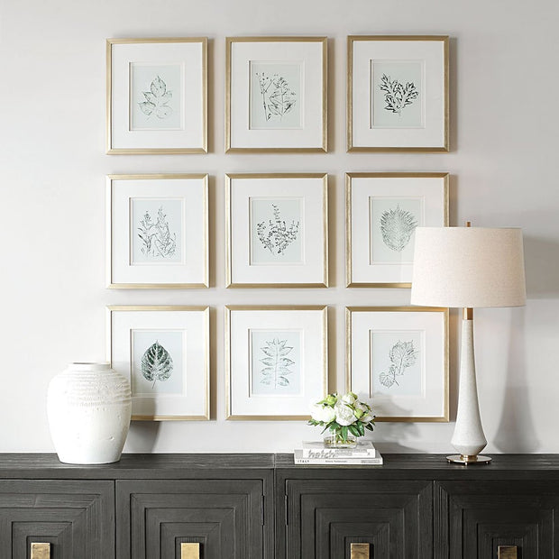 Uttermost Natures Script Framed Set of 9 Botanical Prints