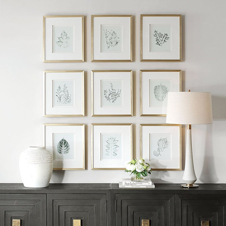 Uttermost Natures Script Framed Set of 9 Botanical Prints