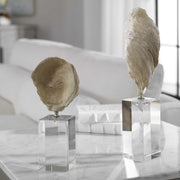 Uttermost Oyster Shell and Crystal Set of 2 Sculptures