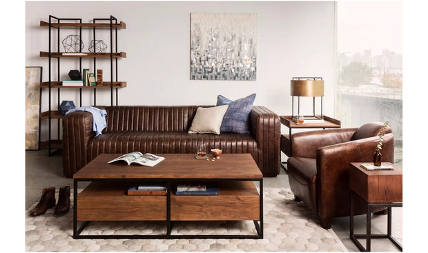 Moe's Home Collection Salzburg Dark Brown Leather Club Chair