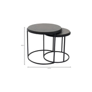 Moe's Home Collection Roost Black Nesting Tables ~ Set Of 2