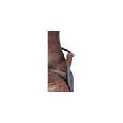 Moe's Home Collection Carlisle Leather Club Chair