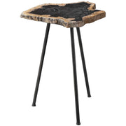 Uttermost Mircea Natural Petrified Wood With Aged Black Iron Accent Table