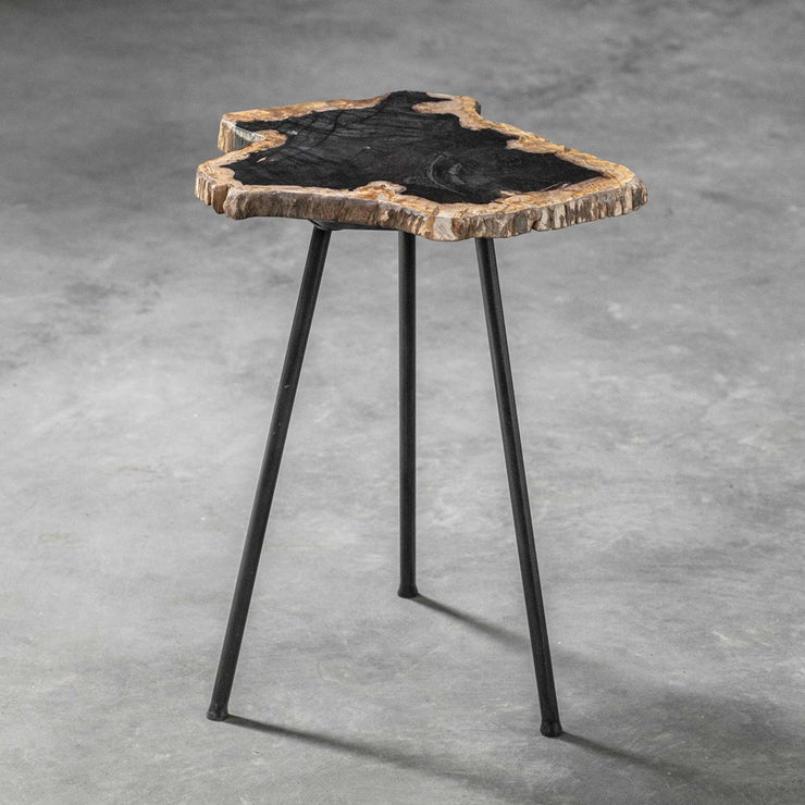 Uttermost Mircea Natural Petrified Wood With Aged Black Iron Accent Table