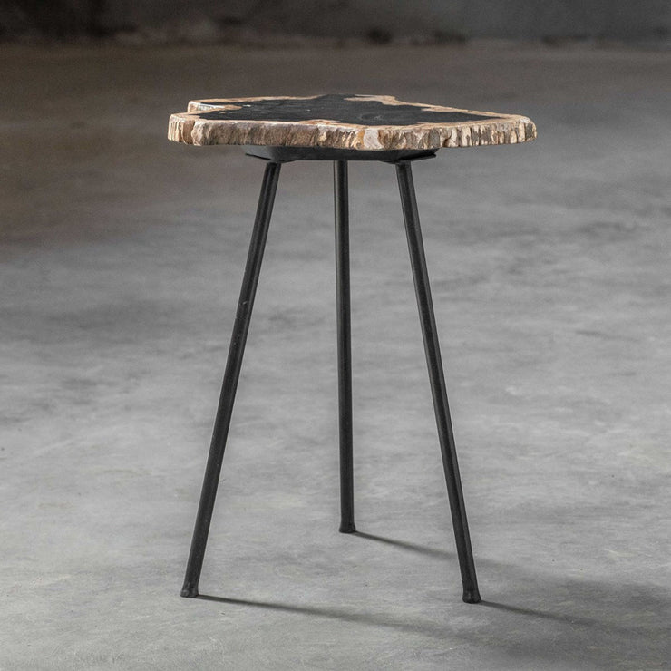 Uttermost Mircea Natural Petrified Wood With Aged Black Iron Accent Table