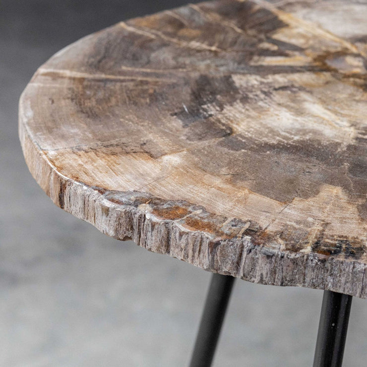 Uttermost Mircea Natural Petrified Wood With Aged Black Iron Accent Table