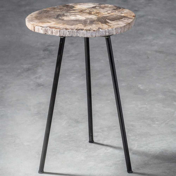 Uttermost Mircea Natural Petrified Wood With Aged Black Iron Accent Table