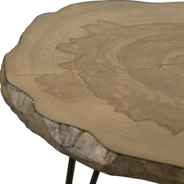 Uttermost Runay Live Edge Wood with Aged Black Iron Side Table