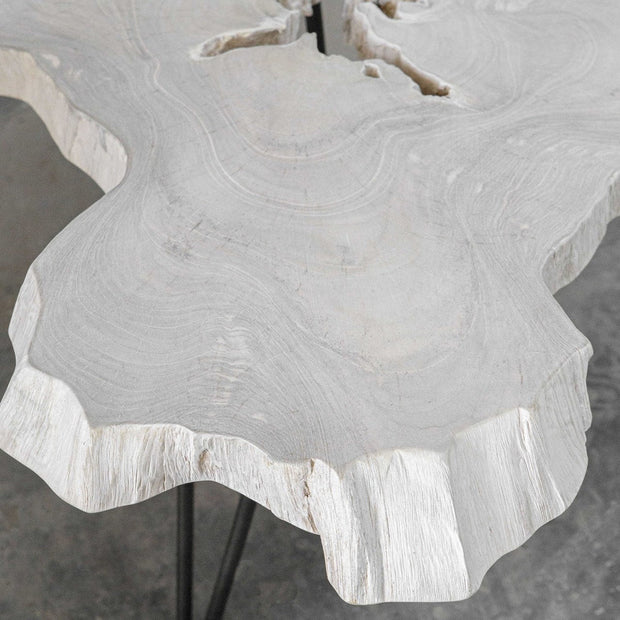 Uttermost Trillium Natural Bleached Teak Wood Modern Rustic Coffee Table