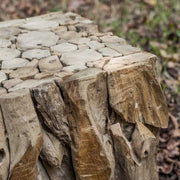 Uttermost Teak Root Natural Teak Wood Organic Modern Bunching Cube Table