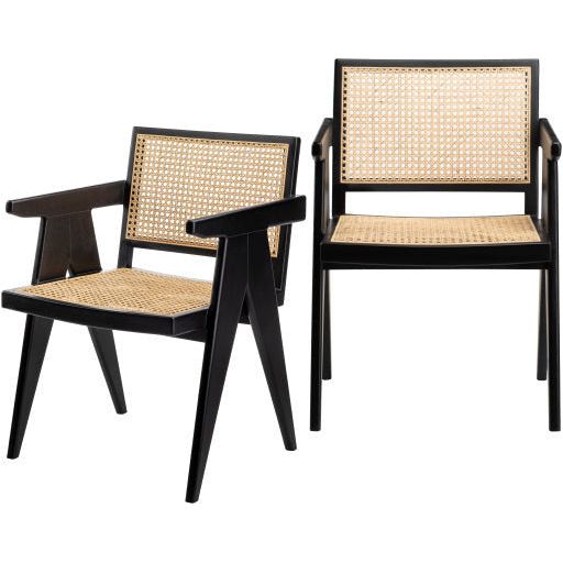 Surya Hague Modern Set of 2 Rattan & Black Wood Dining Armchairs