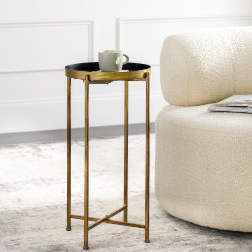 Surya Allenbury Modern Black Tray Top With Gold Metal Base Round Accent Side Table AEU-005