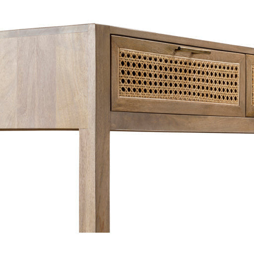 Surya Etewah Modern Rattan With Wood Base Three Drawer Console Table ETW-003