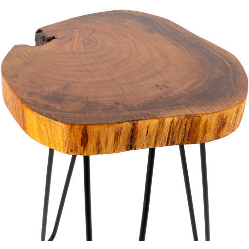 Surya Larissa Modern Natural Wood Top With Charcoal Gray Metal Base Accent Side Table LRI-002