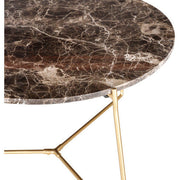 Surya Suave Modern Brown Marble Top With Gold Metal Base Round Coffee Table UAV-002