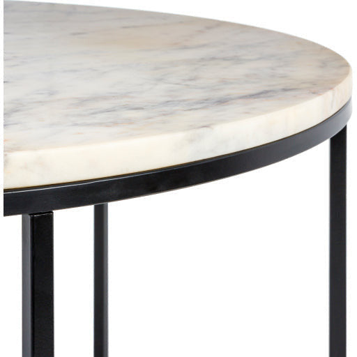 Surya Aryaa Modern White Marble Top With Black Metal Base Round Coffee Table YAA-004