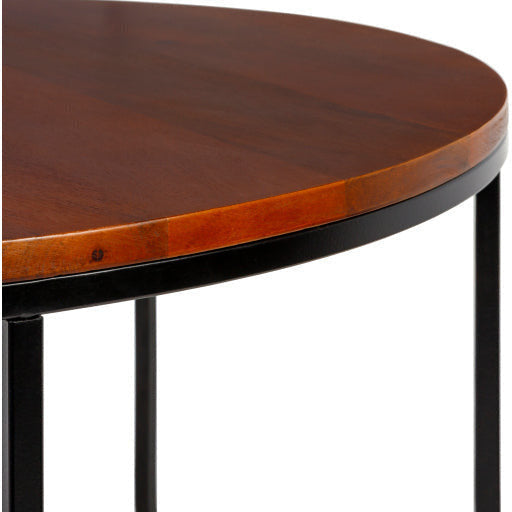 Surya Aryaa Modern Dark Brown Wood Top With Black Metal Base Round Coffee Table YAA-005