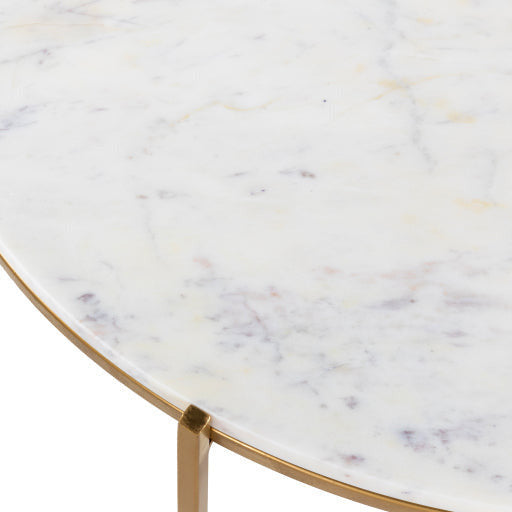 Surya Anaya Modern White Marble Top With Gold Metal Base Coffee Table ANA-005