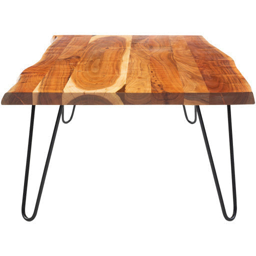 Surya Bergen Modern Wood Top With Black Metal Base Rectangular Coffee Table BGE-002