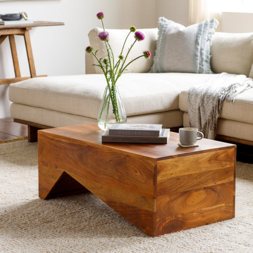 Surya Neemrana Modern Dark Brown Wood Coffee Table NEE-001