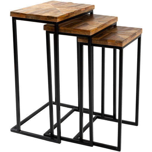 Surya Troyes Modern Natural Wood Top With Black Steel Base Set of 3 Nesting Accent Side Tables TOE-002