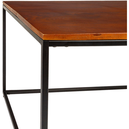 Surya Aryaa Modern Dark Brown Wood Top With Black Metal Base Coffee Table YAA-002