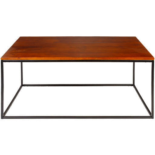 Surya Aryaa Modern Dark Brown Wood Top With Black Metal Base Coffee Table YAA-002