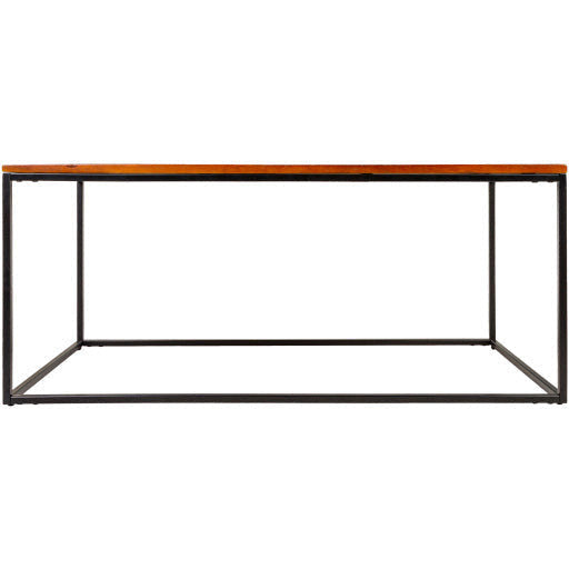 Surya Aryaa Modern Dark Brown Wood Top With Black Metal Base Coffee Table YAA-002